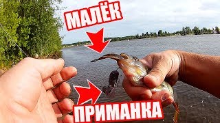 Окунь на Джиг.  АКТИВНЫЙ КЛЁВ НА НОВОМ МЕСТЕ.