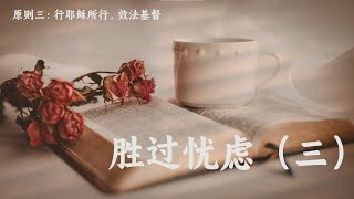 胜过忧虑（三）