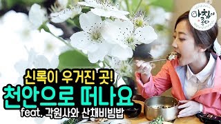 신록이 우거진 천안 태조산 나들이 | 날 따라와유