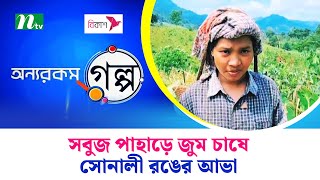 সবুজ পাহাড়ে জুম চাষে সোনালী রঙের আভা | NTV News