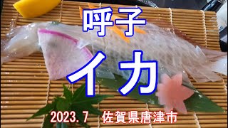 呼子のイカ料理　佐賀県唐津市　2023.7　Yobuko's Squid Cuisine Karatsu City, Saga Prefecture, Japan