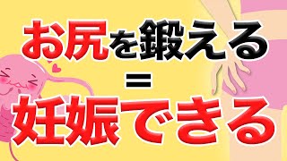 【妊活】なぜお尻を鍛えると妊娠しやすくなるのか【ヒップアップ】