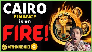 CAIRO FINANCE : ONE MONTH UPDATE : DOUBLED MY MONEY ✅