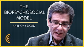 The Biopsychosocial Model in Psychiatry | Anthony David | Episode 17