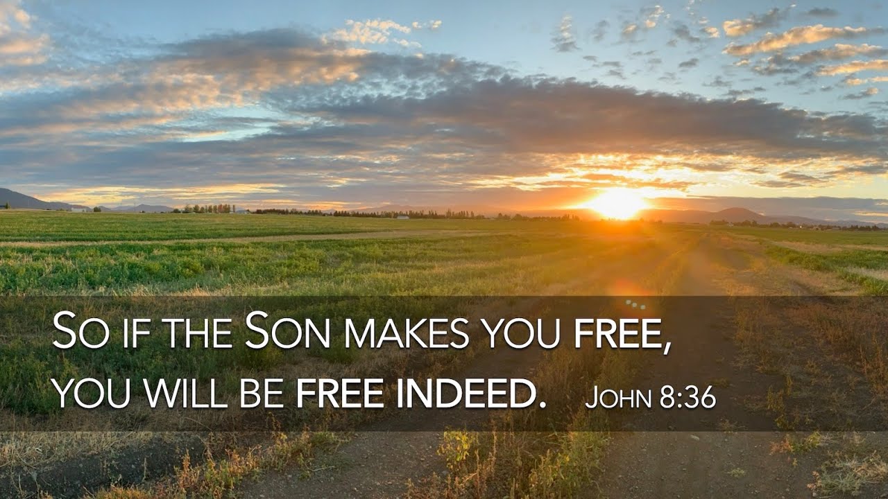 Sunday October 27 2024 Youtube