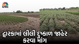 Dwarka | Farm | Survey | Demand | Farmers | Rain | Gujarat | Heavy Rain | Downpour | Government