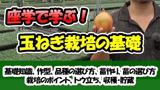 【種屋が教える！】玉ねぎ栽培の基礎「基礎知識、作型、品種の選び方、苗作り、苗の選び方、栽培のポイント、トウ立ち、収穫・貯蔵」