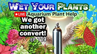 Aquarium Plant Chat and Q\u0026A and Solving Planted Tank Problems n Stuff (WYP 119)