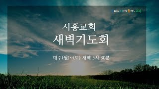 2022.1.20 새벽기도회 - 김형일 목사(레위기 3장 1절~5절)