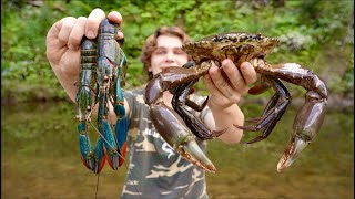 Giant Mudcrab vs. Blue Crayfish (Catch & Cook)