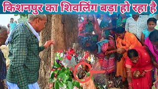 किशनपुर का शिवलिंग बड़ा हो रहा है |kishanpur ka shivling bada ho raha hai