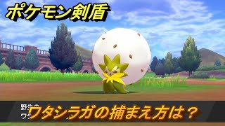 ポケモン剣盾　ワタシラガの出現場所は？オススメの場所は？天気は？ポケモン図鑑コンプへの道！　最新版【ポケモンソード・シールド】