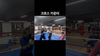 크로스 카운터 #boxing #스파링 #트레이닝 #복싱스파링 #복싱 #크로스카운터 #카운터