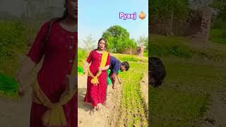 Suno bhauji ki bahen #trending #new song #dance 💃#viral song #popularsong