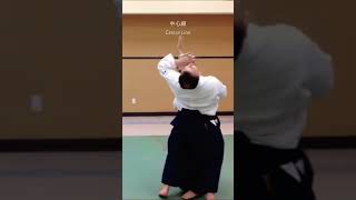 WOW!合氣 | Aiki Centre Line : 中心線 | KataDori Sparring 肩取り自由技