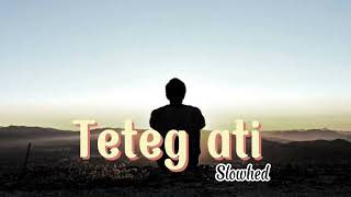 TETEG ATI -slowhed