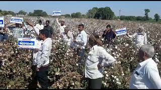 ધનલક્ષ્મી એડવાન્સ બિયારણ