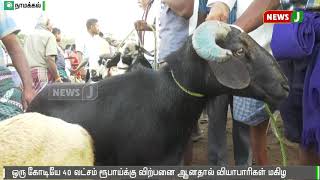 நாமக்கல்: பக்ரீத் பண்டிகையை முன்னிட்டு ஆடு விற்பனை அமோகம்