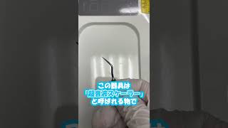 歯医者さんの歯石を取る器具  #Shorts