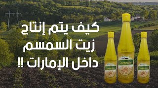 How is Cold Pressed Sesame Oil Made in Virgin Land Factory - UAE?