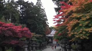 飯能市能仁寺の紅葉　ＨＤ