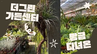 방금 다녀온 더그린가든센터 | 가격과 설명 포함👩🏻‍🌾