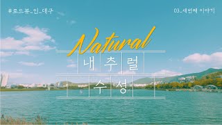 [Road View in Daegu] Natural Travel in Downtown in Daegu 🍃