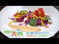 ハマナビ　次回予告（4月24日放送）