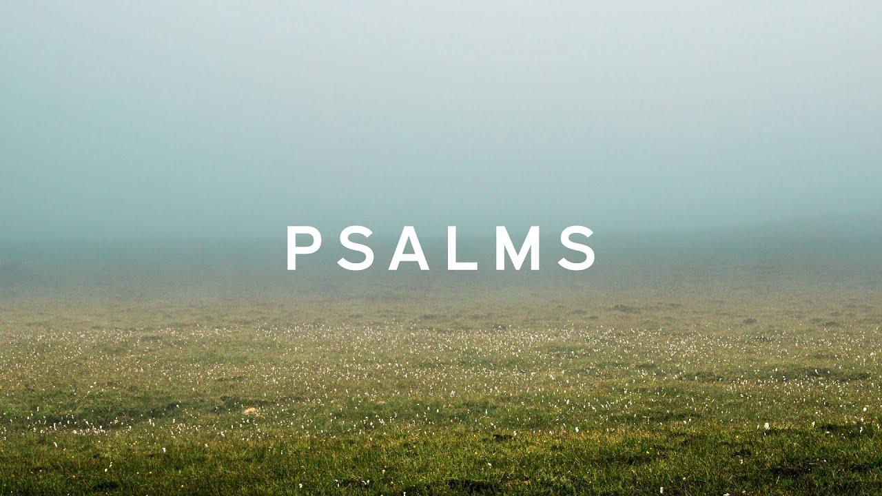 Bible Series- Psalms - YouTube