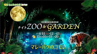 【東山動植物園公式】マレーバク《 2023ナイトZOO＆GARDEN》《 マレーバク　バク 》