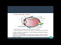 elements of visual perception digital image processing malayalam tutorial