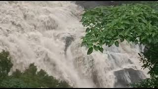 mount abu rainfall🌊☁️🌿🍀🌱