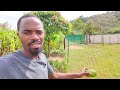 Offgrid Living In Zimbabwe||Home Improvements 