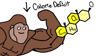 How To Actually Lose Weight Explained By Ape