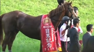 目黒記念　優勝馬ウインテンダネス号（内田博幸騎手）2018年5月27日（日）東京競馬場