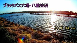 【釣場お散歩】#5, ブラックバス穴場・八重笠沼（群馬県太田市）2020年 4月 14日 [Fishing ground walk] black bass fishing