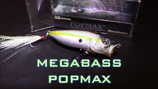 Megabass Popmax Lure Review