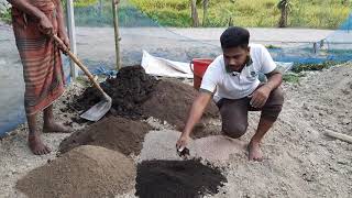 রেডি মিক্স মাটি যে সকল উপাদান দিয়ে তৈরি করছে কৃষি বন্ধু ছাদ বাগানের জন্য আজই অর্ডার করুন