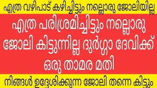 ജാതകദോഷം കൊണ്ട് നല്ലൊരു ജോലി പോലും കിട്ടാത്ത വിഷമത്തിലാണ് നിങ്ങൾ