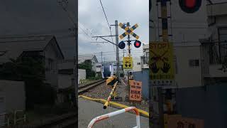 JR東日本の大糸線の特急あずさ46号新宿行きが踏切と橋を通過する。ミュージホーン1回