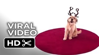Anchorman 2: The Legend Continues Viral Video - Ask Baxter (2013) - Will Ferrell Movie HD