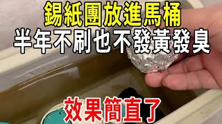 錫紙團放進馬桶，半年不刷也不發黃發臭，效果簡直了！【圍裙媽媽】