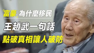 富豪为什么要移民？王赓武一句话点破真相，很多人都破防了！   #十三邀 #许知远#罗翔#王石