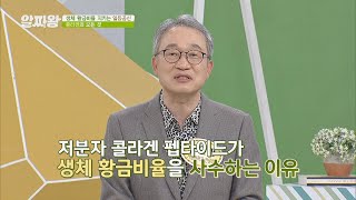 저분자 콜라겐이 '생체 황금비율'을 사수하는 이유☆ TV정보쇼 알짜왕(alzzaking) 169회