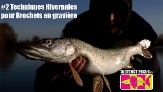 Techniques hivernales pour brochets en gravière #2