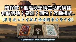 【Elaine的愛情塔羅】你感情生活下個階段的模樣？何時何地發生?對方是誰？個性？你們的互動能量？會開花結果嗎？(單身或心中有特定對象者都可以測)