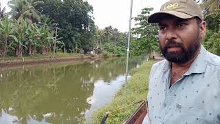 cross bow fishing (പ്ലെയിറ്റ് തെറ്റാലി ഉപയോഗിച്ച് കരിമീൻ പിടുത്തം)ph. 8547172692