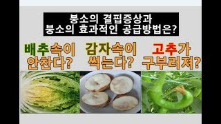 붕소공급의 중요성 - 붕소의 역활, 붕소결핍증상, 붕소의 효과적인 공급방법은? 붕소, 붕산, 붕사의 차이는? 붕소 결핍에의한 과일 기형과, 감자속썩음, 배추결구불량