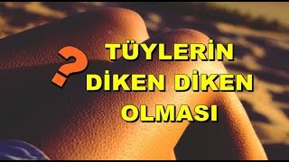 TÜYLERİMİZ NEDEN DİKEN DİKEN OLUR