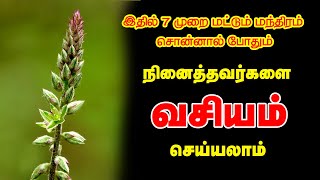 இந்த மந்திரத்தை 7 முறை மட்டுமே சொன்னால் நினைத்தவர்களை வசியம் செய்யலாம் | Vasiyam Seivathu Eppadi